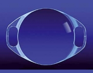 Artisan Myopia